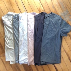 Everlane cotton crop box tees
